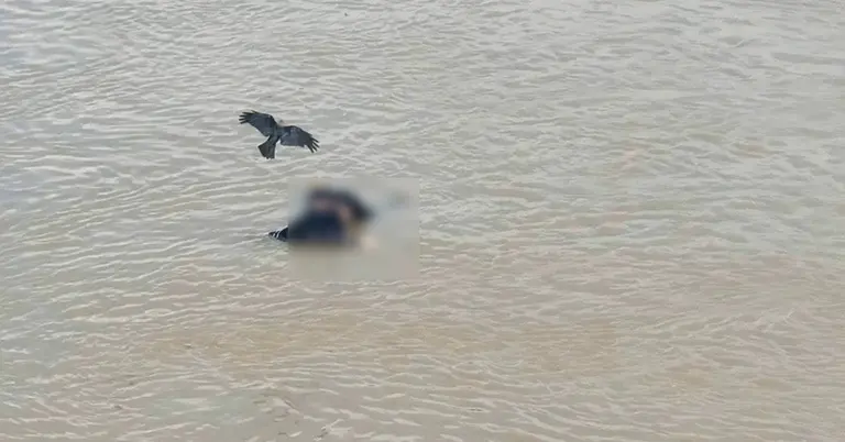 বংশাই নদীতে ভাসমান মরদেহ